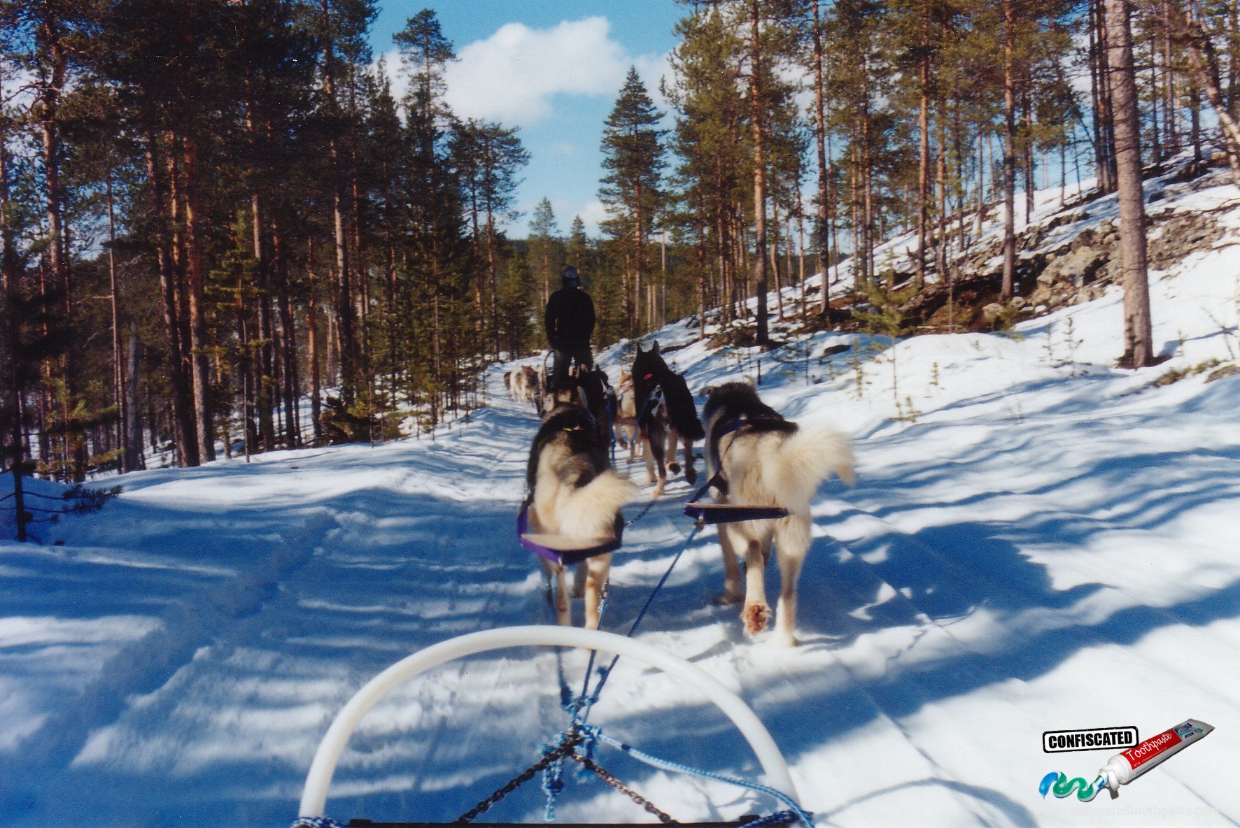 Things heat up as the dogs head down the hill