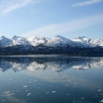 The majestic College Fjord, Alaska