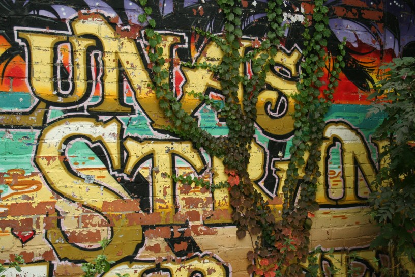 Street Art and Vines, Friedrichshain, Berlin