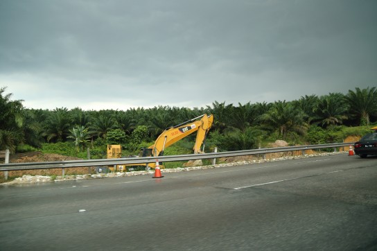 Palm plantations on the way to Malacca.. where has all of Malaysia's natural forest gone?