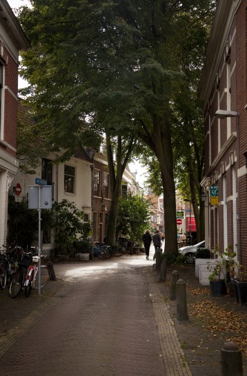 The small green streets of Haarlem