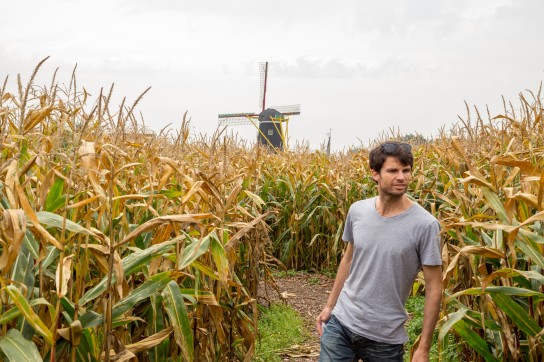 Lost in a Dutch cornfield
