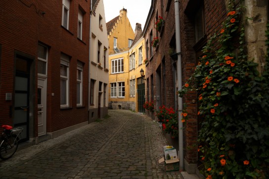 Twisting alleyways of the Patershol quarter