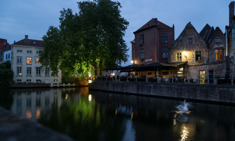 Canal with Swan, Bruges, Belgium