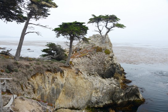 Lone Pine Point