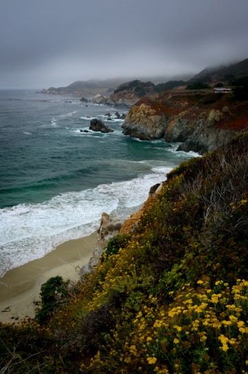 Coastline near Rocky Point