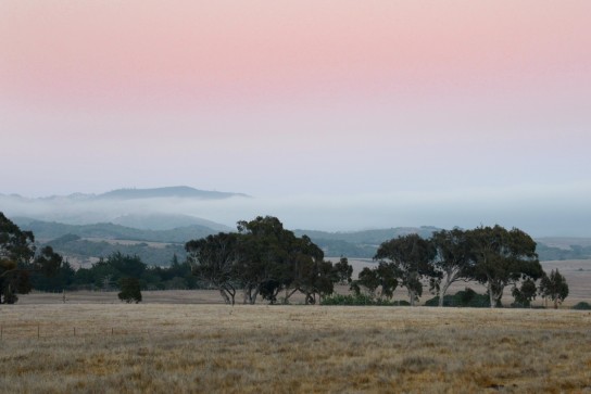 Eerie Australian like landscape near Cambria. Photo: Rob Gibbs