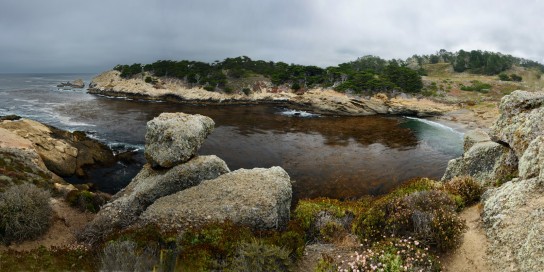 Point Lobos State Park