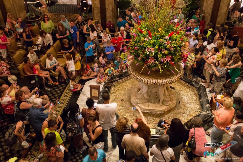 Peabody Ducks Crowd, Memphis