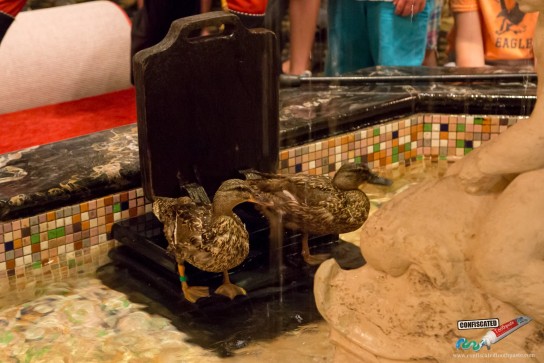 Priveleged quackers.